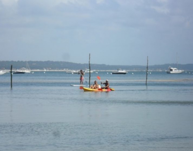  Canoe and paddle surf 